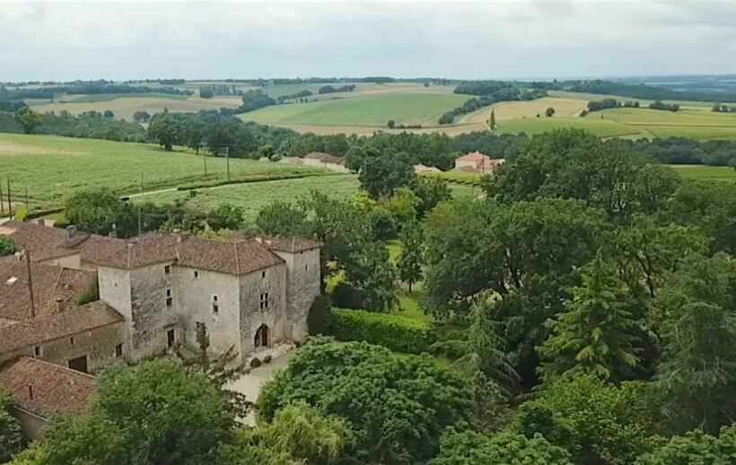 Medieval Castle In Condom   Gers / Gascony