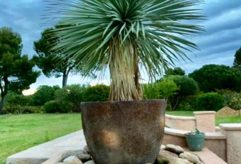 Villa Charmante A Saint Cyprien Avec Piscine Privee