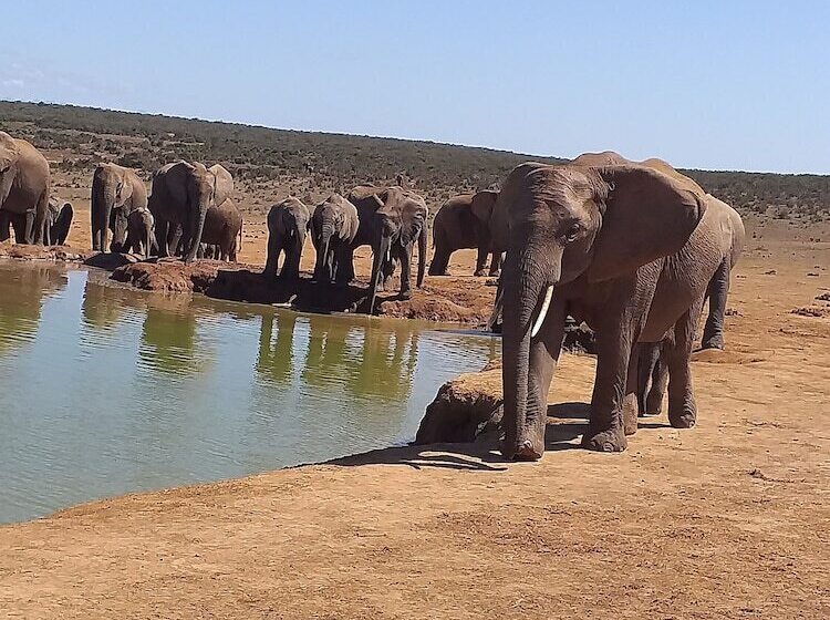 A1 Kynaston Self Catering Or Bed And Breakfast