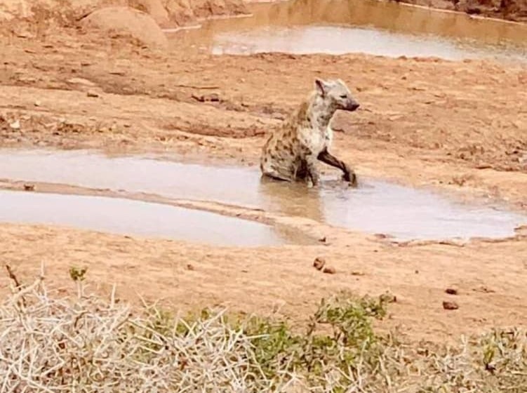 A1 Kynaston Self Catering Or Bed And Breakfast