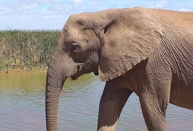 A1 Kynaston Self Catering Or Bed And Breakfast