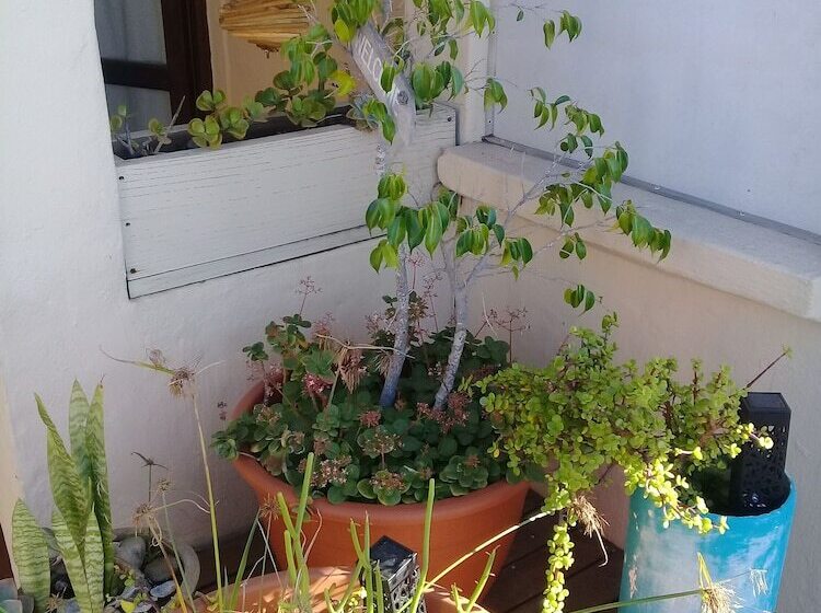 A1 Kynaston Self Catering Or Bed And Breakfast