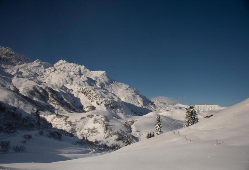 ベッドアンドブレックファースト Pension Daniel