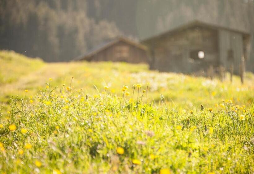 住宿加早餐  Pension Daniel