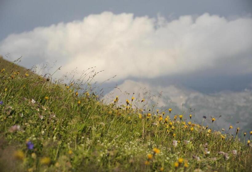 تختخواب و صبحانه Pension Daniel