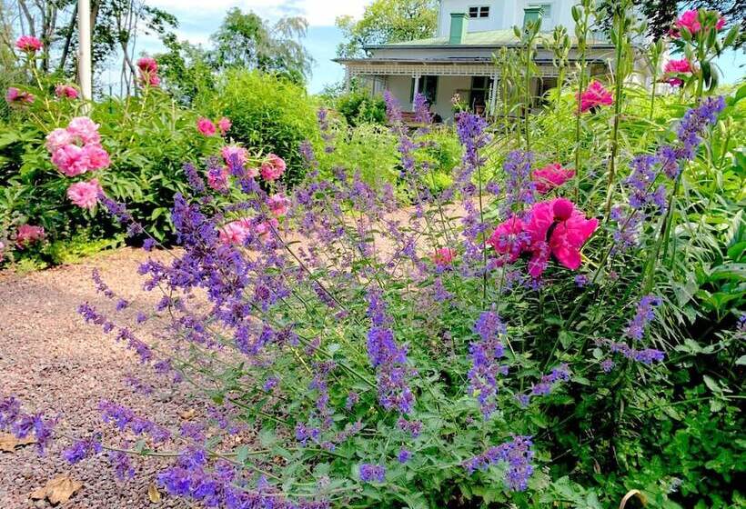 Drottning Victorias Hotell Och Vilohem