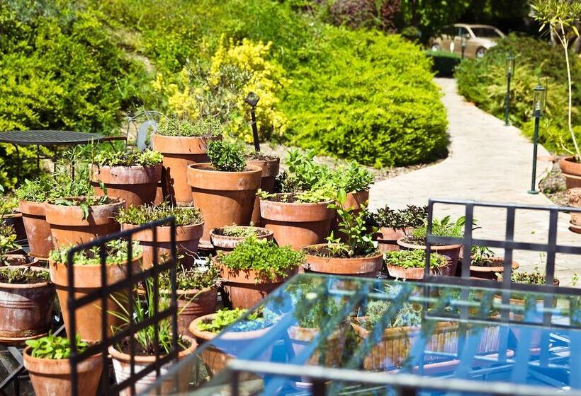 Echo Residence All Suite