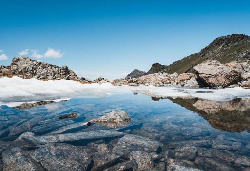 Felbermayer Hotel & Alpinespa   Montafon