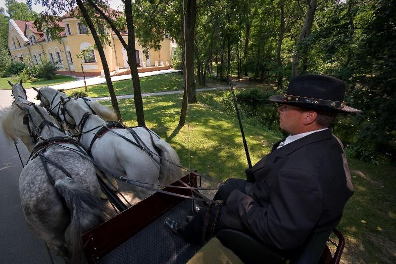 Geréby Kúria Hotel és Lovasudvar