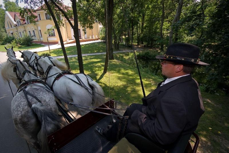 Geréby Kúria Hotel és Lovasudvar