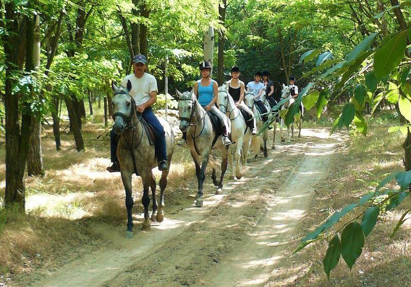 Geréby Kúria Hotel és Lovasudvar