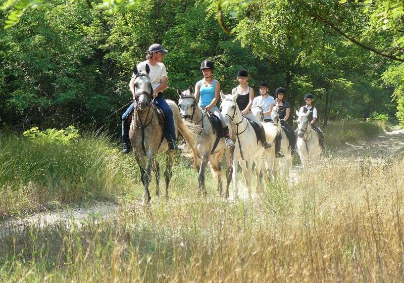 Geréby Kúria Hotel és Lovasudvar