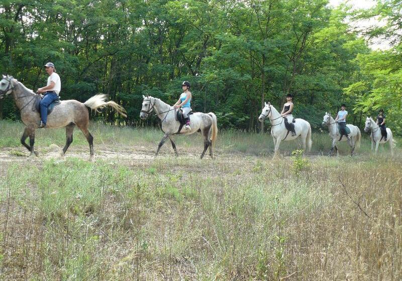 Geréby Kúria Hotel és Lovasudvar