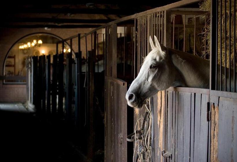 Geréby Kúria Hotel és Lovasudvar