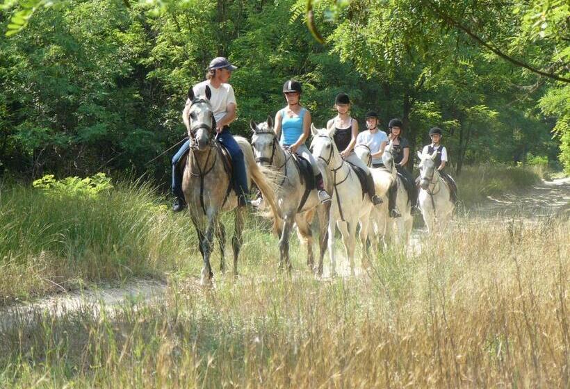 Geréby Kúria Hotel és Lovasudvar