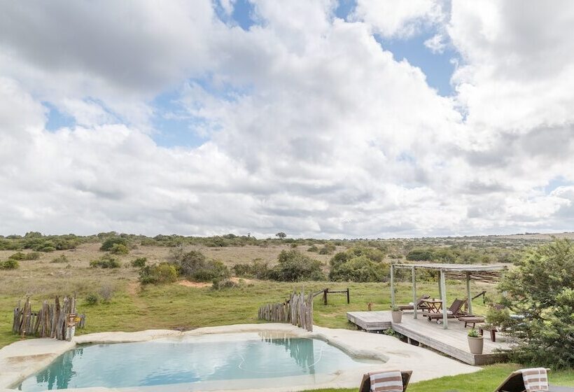 Hlosi Game Lodge   Amakhala Game Reserve