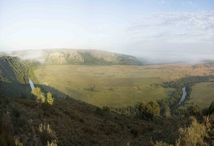 Hlosi Game Lodge   Amakhala Game Reserve