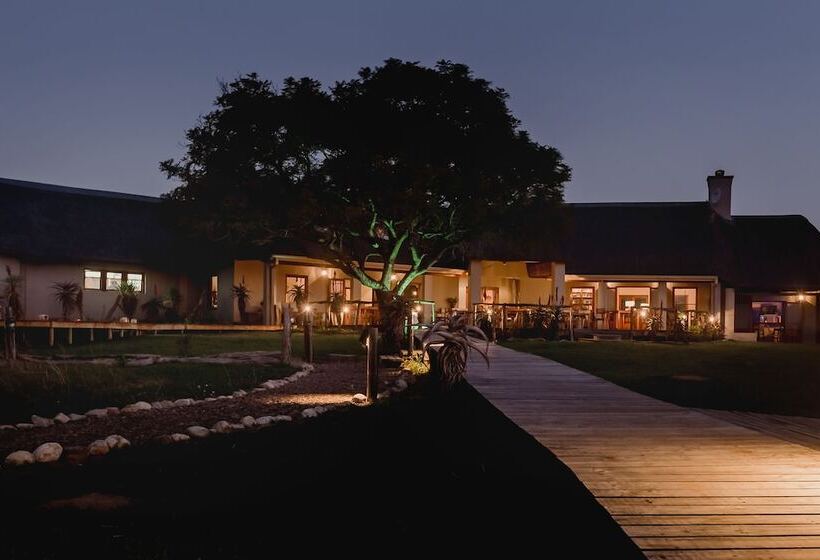 Hlosi Game Lodge   Amakhala Game Reserve