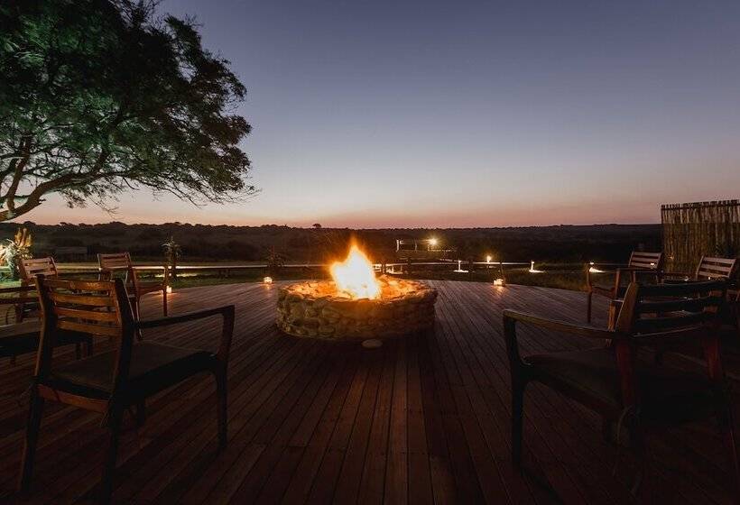 Hlosi Game Lodge   Amakhala Game Reserve