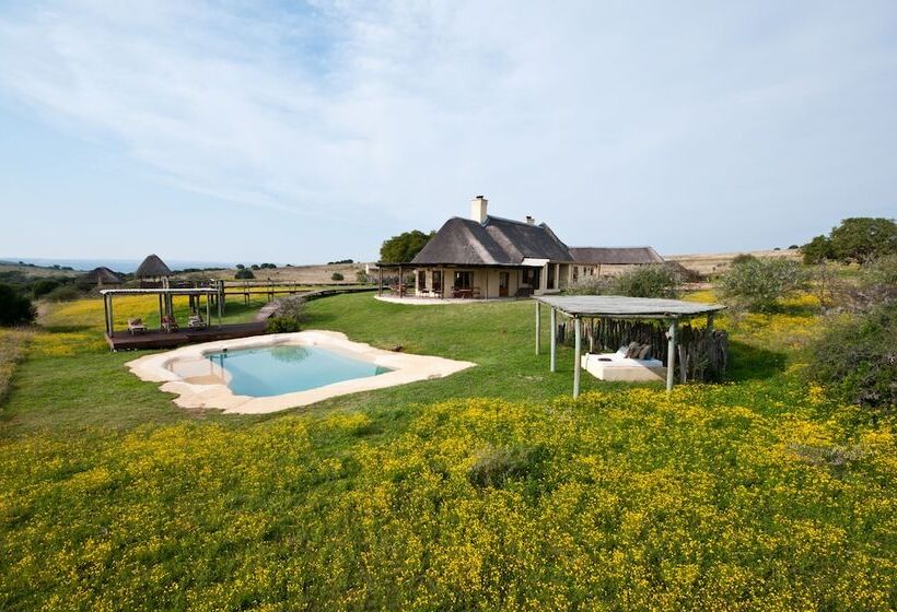 Hlosi Game Lodge   Amakhala Game Reserve