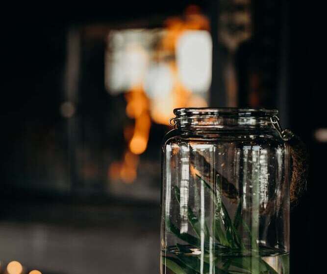 Hlosi Game Lodge   Amakhala Game Reserve