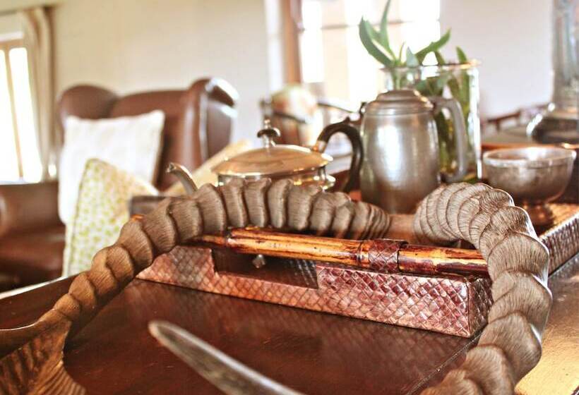 Hlosi Game Lodge   Amakhala Game Reserve