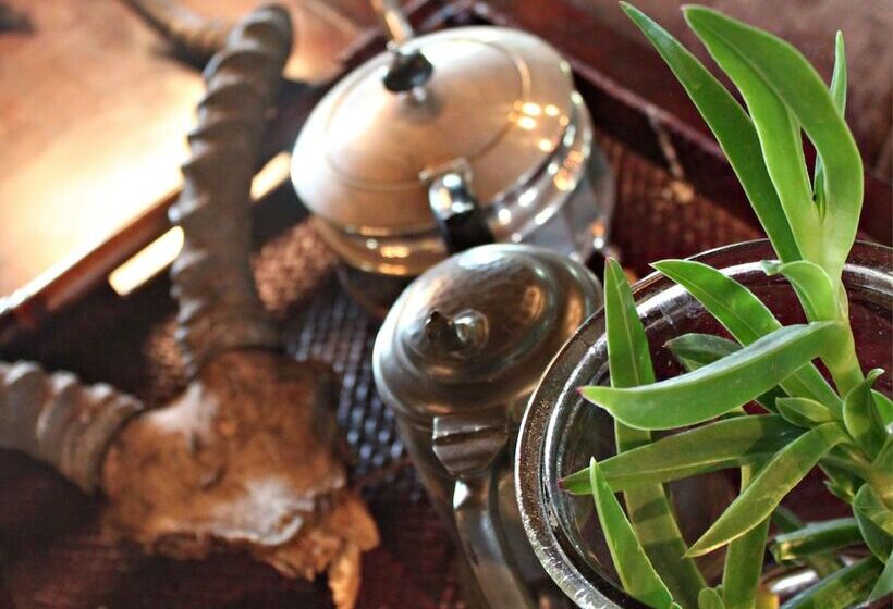 Hlosi Game Lodge   Amakhala Game Reserve