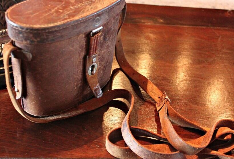 Hlosi Game Lodge   Amakhala Game Reserve