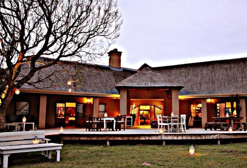 Hlosi Game Lodge   Amakhala Game Reserve