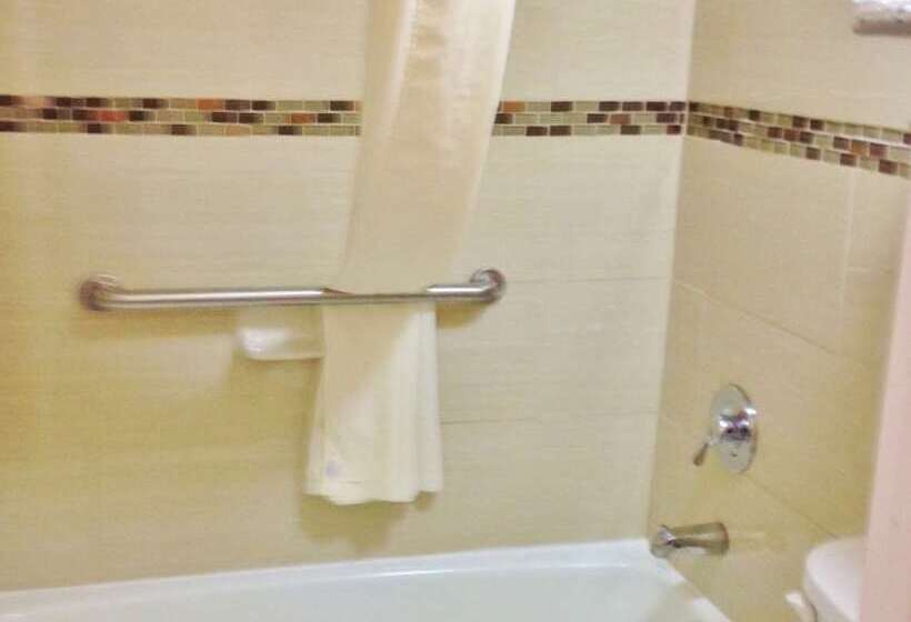 酒店 Americas Best Value Inn Forest