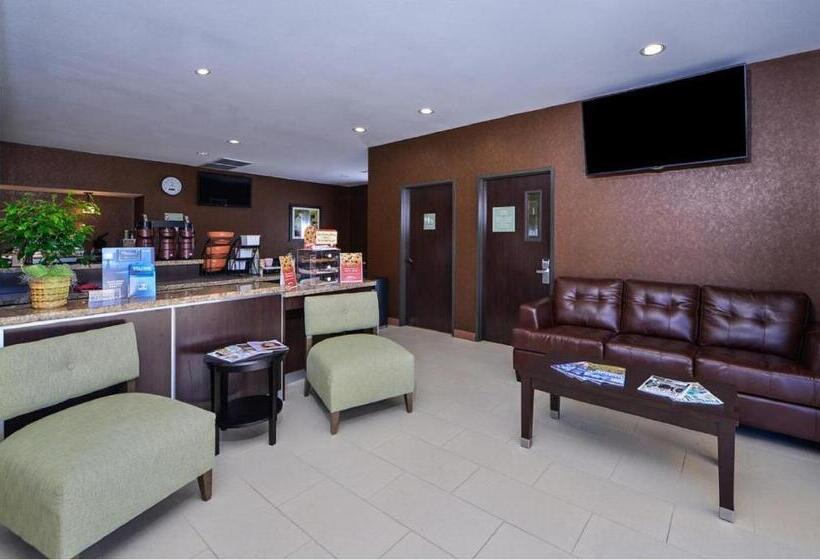 酒店 Americas Best Value Inn & Suites Cuero