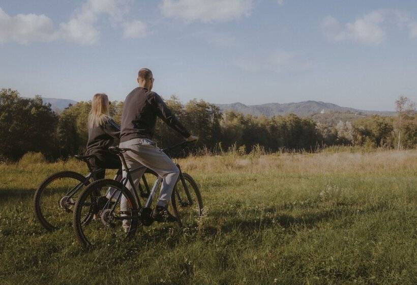 هتل Arena Maribor