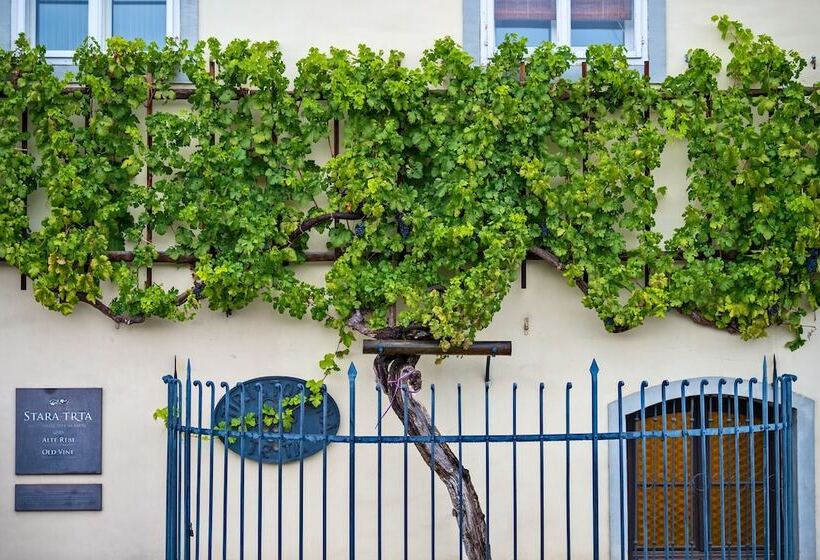 هتل Arena Maribor