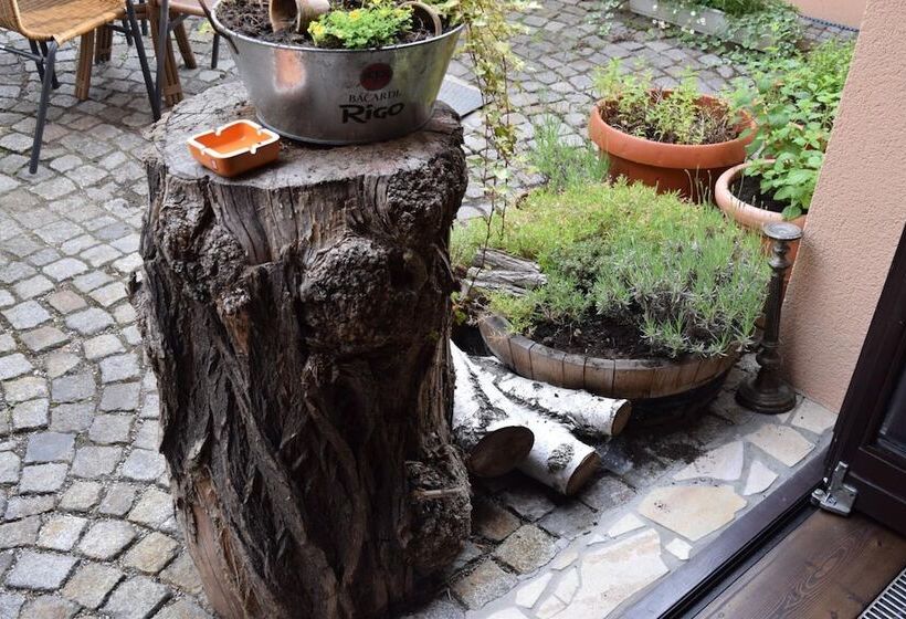 Отель Arte Vida Ohg