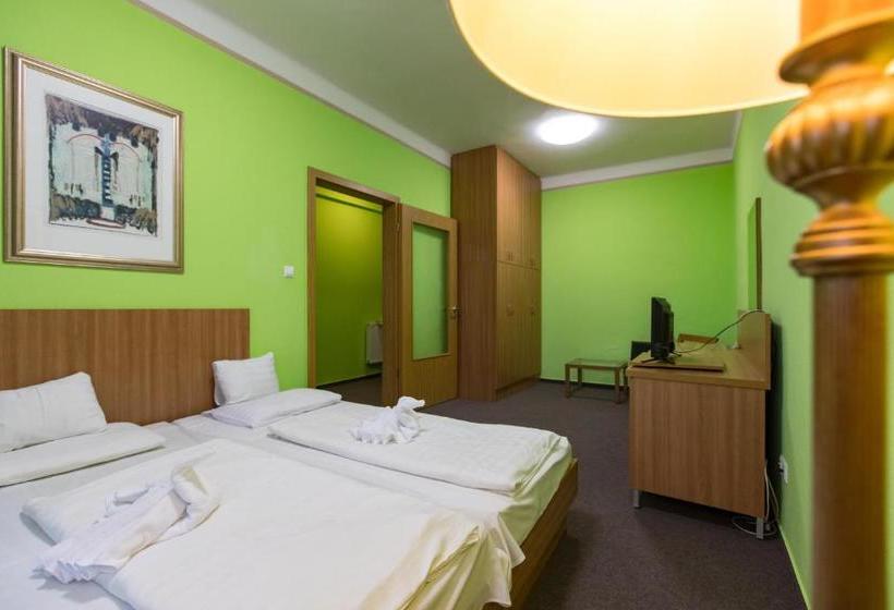 ホテル Alföld Gyöngye