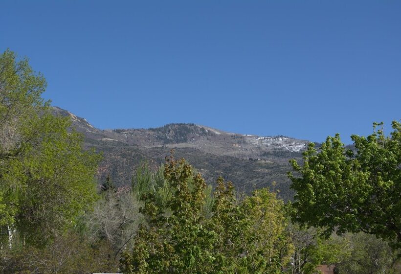 Отель Big Yellow Inn