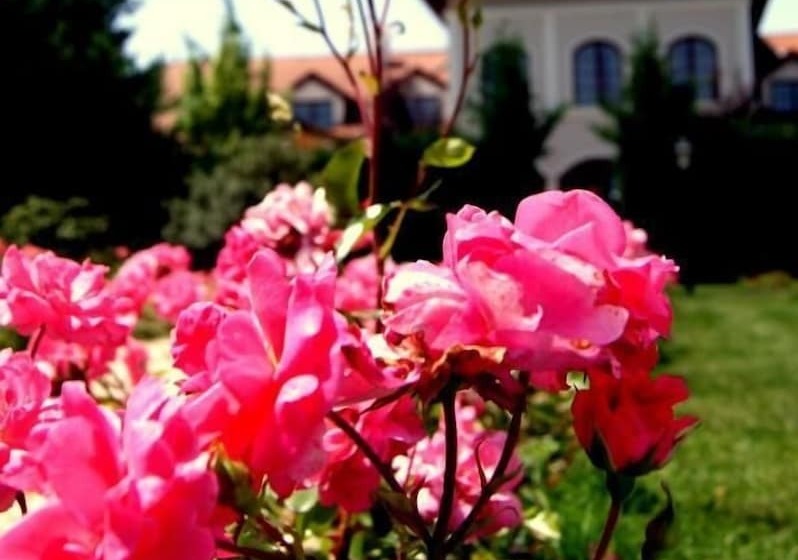 فندق Bodrogi Kúria Wellness