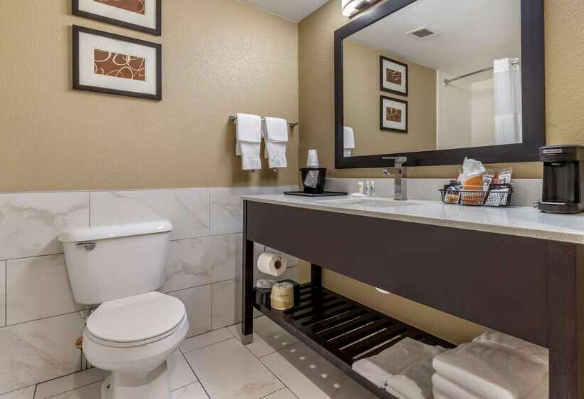 فندق Comfort Inn & Suites Mocksville I 40