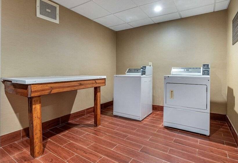 فندق Comfort Inn & Suites Mocksville I 40