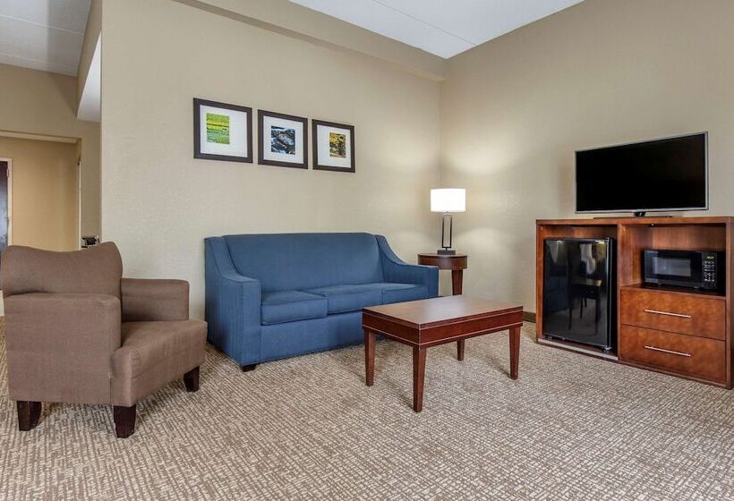 فندق Comfort Inn & Suites Mocksville I 40