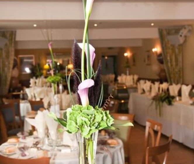 בית מלון כפרי Falcon