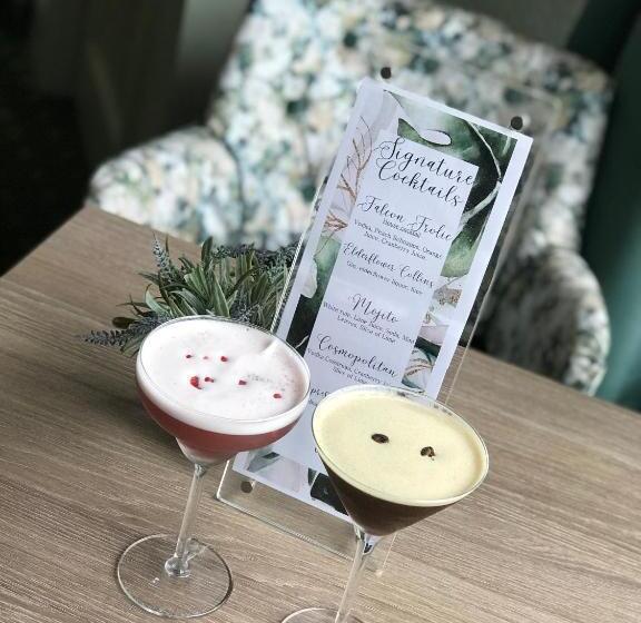 בית מלון כפרי Falcon