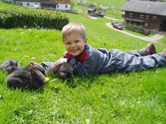 فندق Ferienhof Metzler