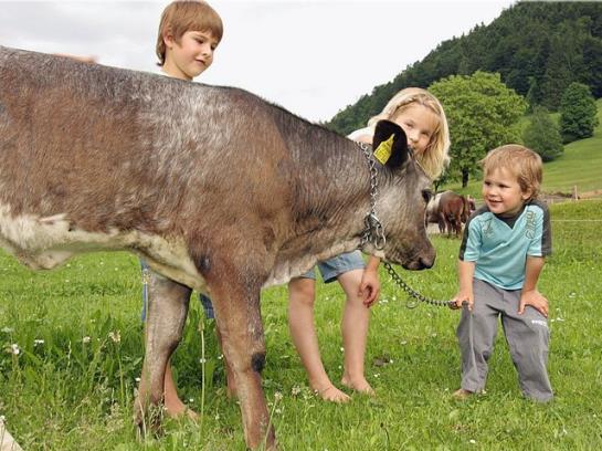 فندق Ferienhof Metzler