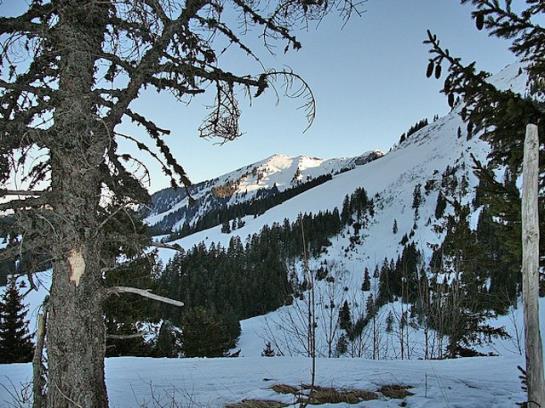 فندق Ferienhof Metzler