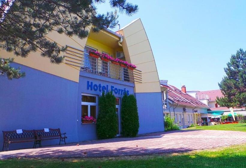 호텔 Forras