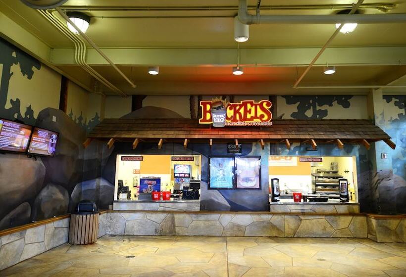 فندق Great Wolf Lodge Grand Mound