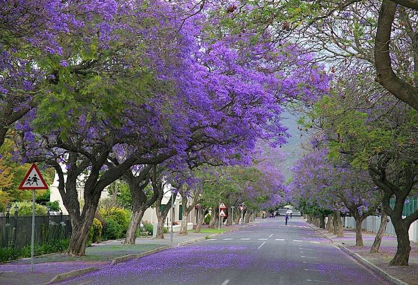 فندق Gubas De Hoek Meet Eat Sleep