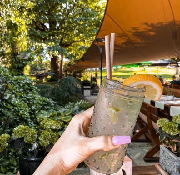 هتل Guesthouse Smogavc