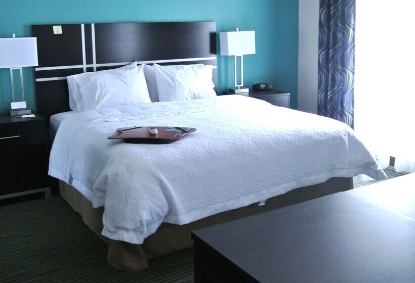 酒店 Hampton Inn Carrizo Springs